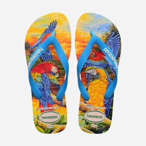 Havaianas BEI Men's Flip Flops | PMVSHC-694