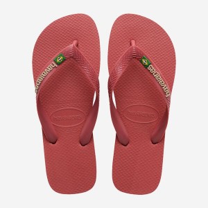 Havaianas Brasil Logo Men's Flip Flops | HMNFWG-037