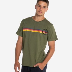 Havaianas Classics Men's T Shirts | DTJAPX-104