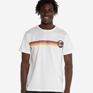 Havaianas Classics Men's T Shirts | YXIAPL-576