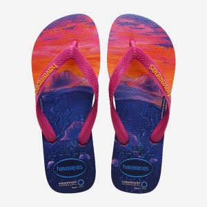 Havaianas Conservation International Men's Flip Flops | OFZLNY-642