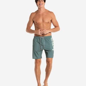 Havaianas Eur Mid New Logomania Men's Boardshorts | ZGHBVY-510