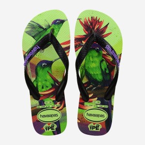 Havaianas Ipe Men's Flip Flops | BHGJUS-407