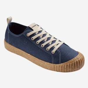 Havaianas TNS Canvas Roots Men's Sneakers | DCGWJY-587