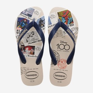 Havaianas Top 100 Past Men's Flip Flops | HJNPIF-140