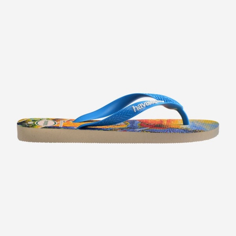 Havaianas BEI Men's Flip Flops | PMVSHC-694