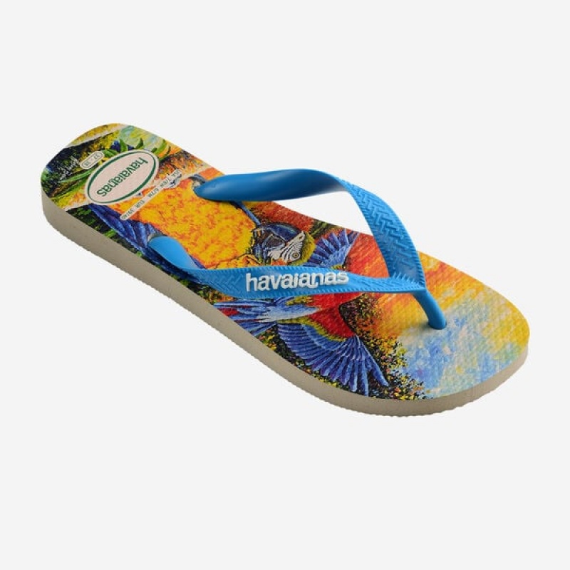 Havaianas BEI Men's Flip Flops | PMVSHC-694