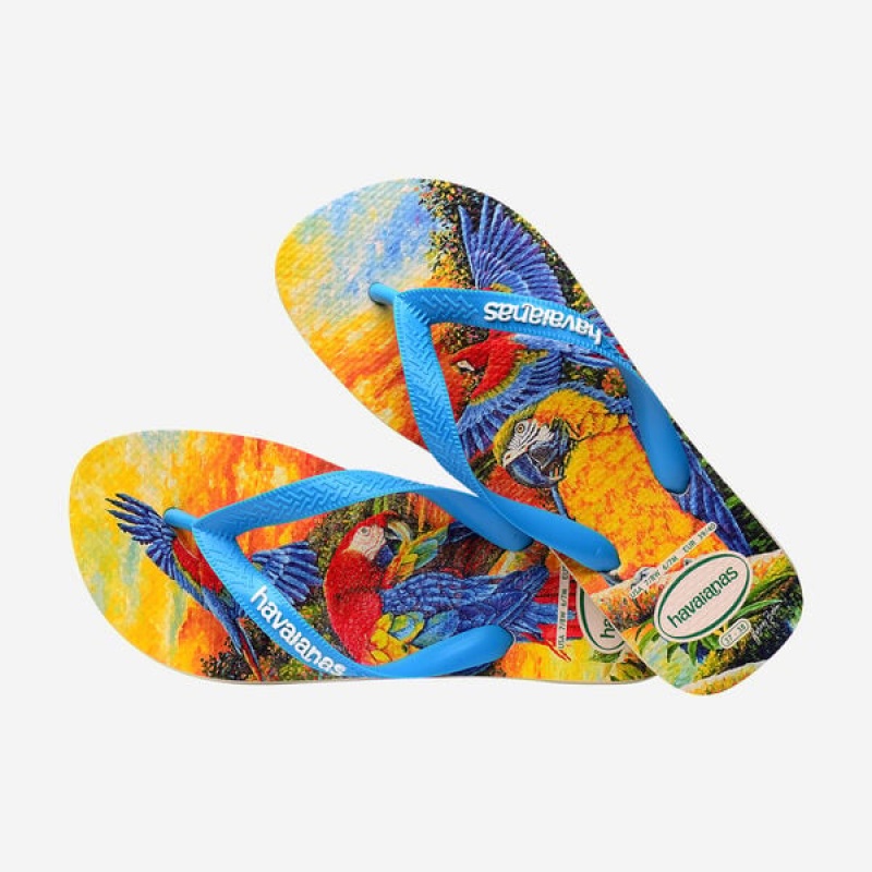 Havaianas BEI Men's Flip Flops | PMVSHC-694