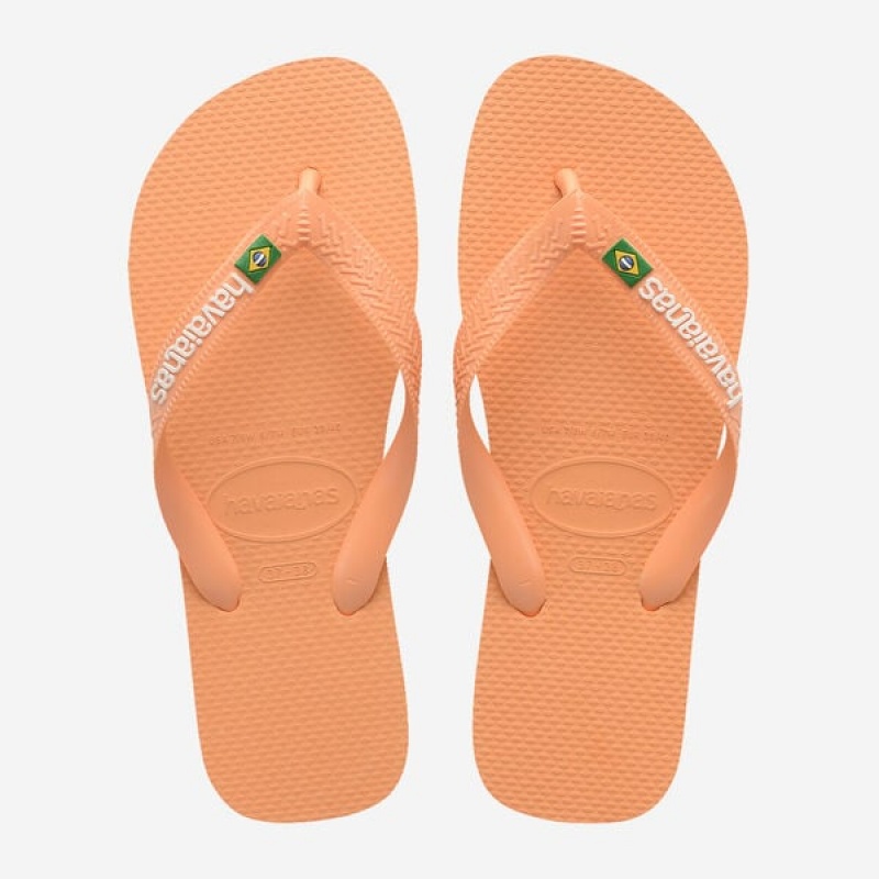 Havaianas Brasil Logo Men\'s Flip Flops | GIZLED-420