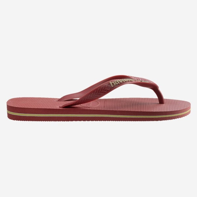 Havaianas Brasil Logo Men's Flip Flops | HMNFWG-037