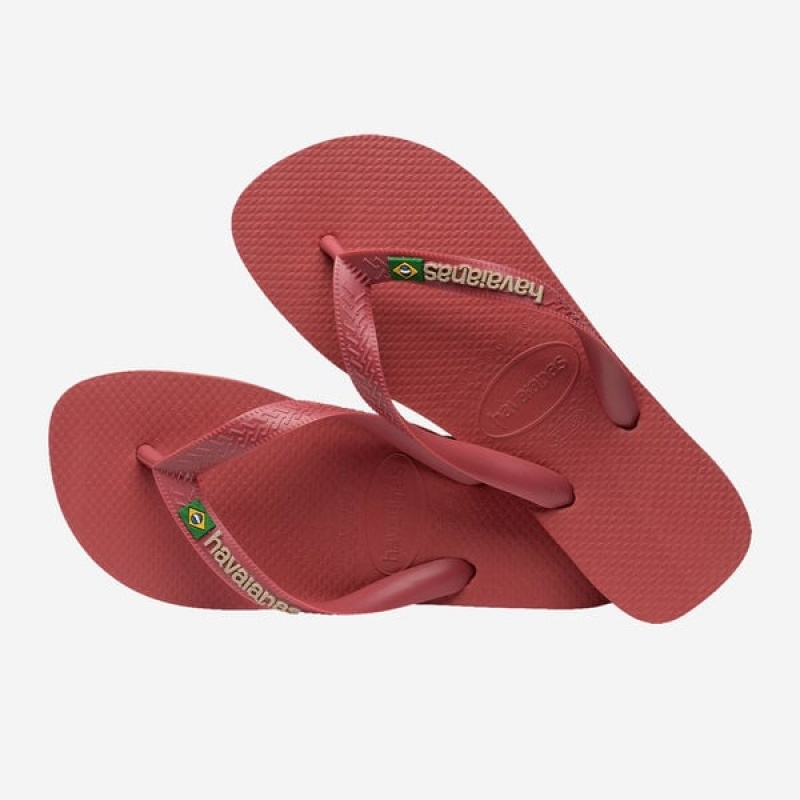 Havaianas Brasil Logo Men's Flip Flops | HMNFWG-037