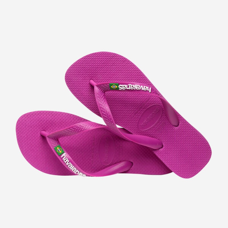 Havaianas Brasil Logo Men's Flip Flops | HTDJGZ-548