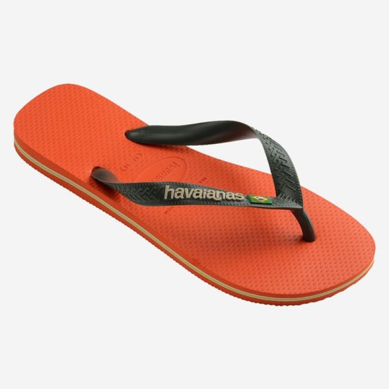 Havaianas Brasil Logo Men's Flip Flops | ICOUJR-093