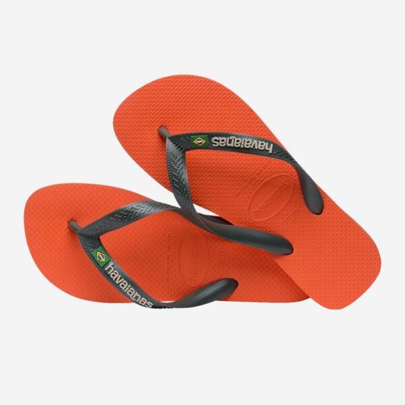 Havaianas Brasil Logo Men's Flip Flops | ICOUJR-093