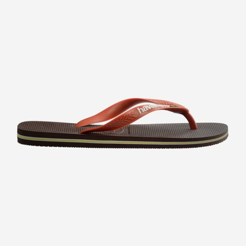 Havaianas Brasil Logo Men's Flip Flops | LOERYV-564