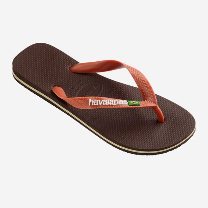 Havaianas Brasil Logo Men's Flip Flops | LOERYV-564