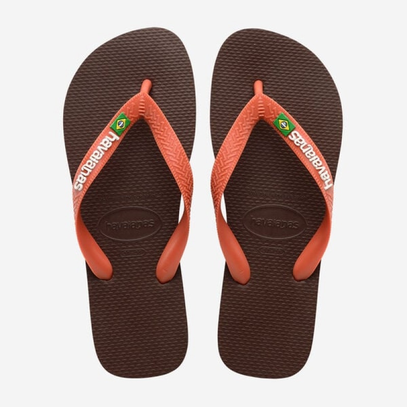 Havaianas Brasil Logo Men\'s Flip Flops | LOERYV-564