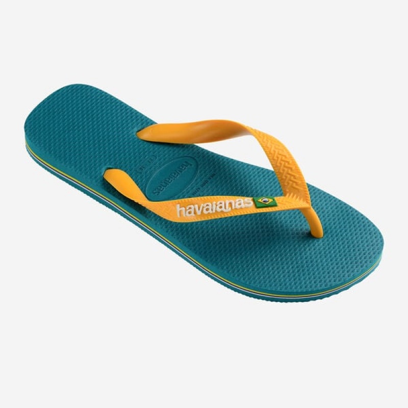 Havaianas Brasil Logo Men's Flip Flops | LACQKG-238