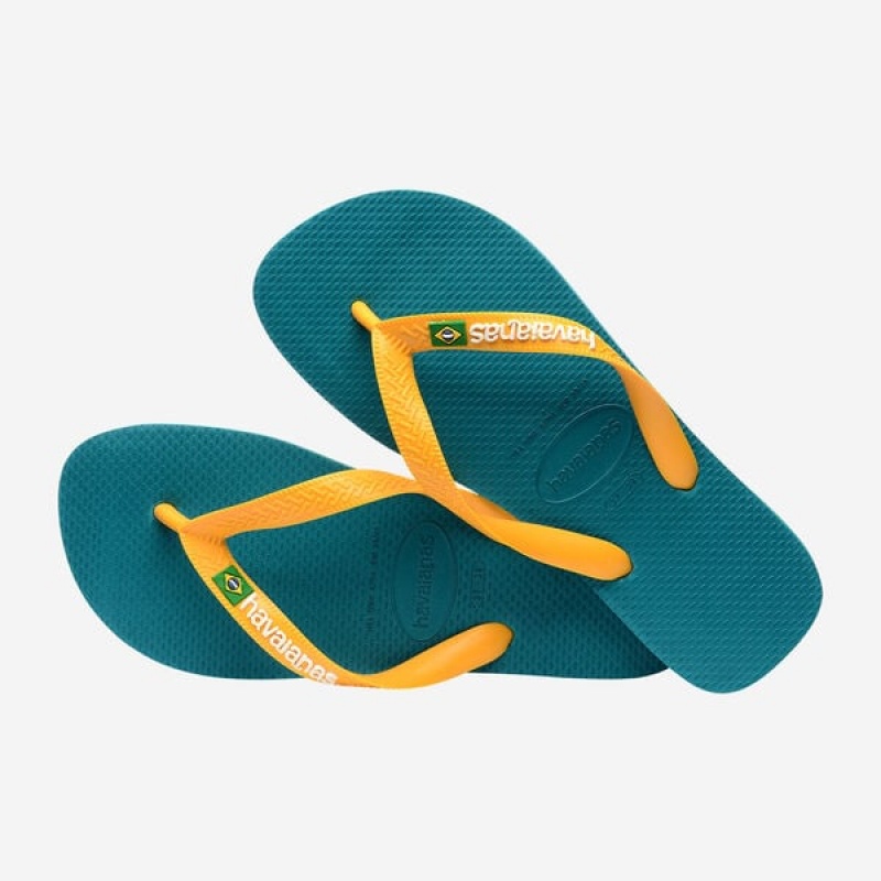 Havaianas Brasil Logo Men's Flip Flops | LACQKG-238