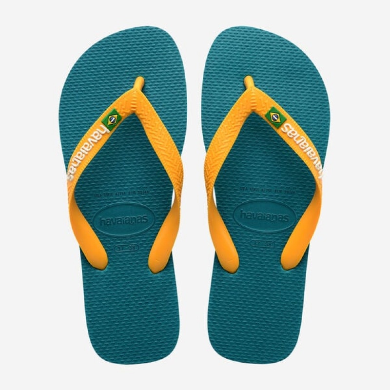 Havaianas Brasil Logo Men\'s Flip Flops | LACQKG-238