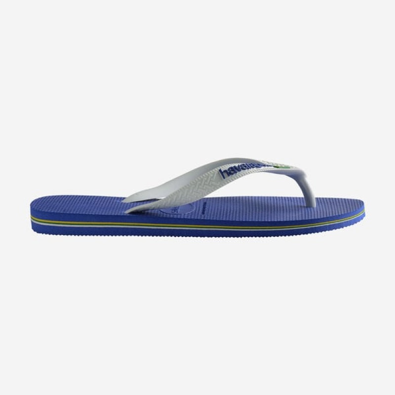 Havaianas Brasil Logo Men's Flip Flops | RJKXVI-057