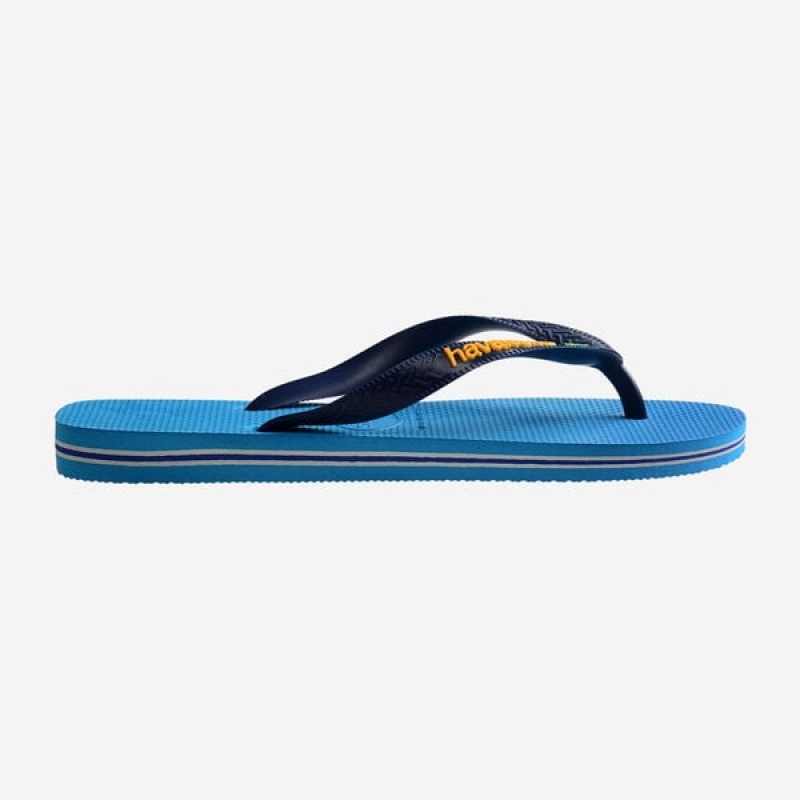 Havaianas Brasil Logo Men's Flip Flops | SDKIUE-684