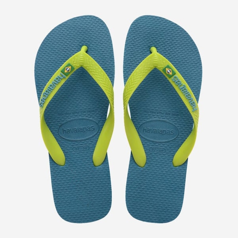 Havaianas Brasil Logo Men\'s Flip Flops | TLOSRK-847