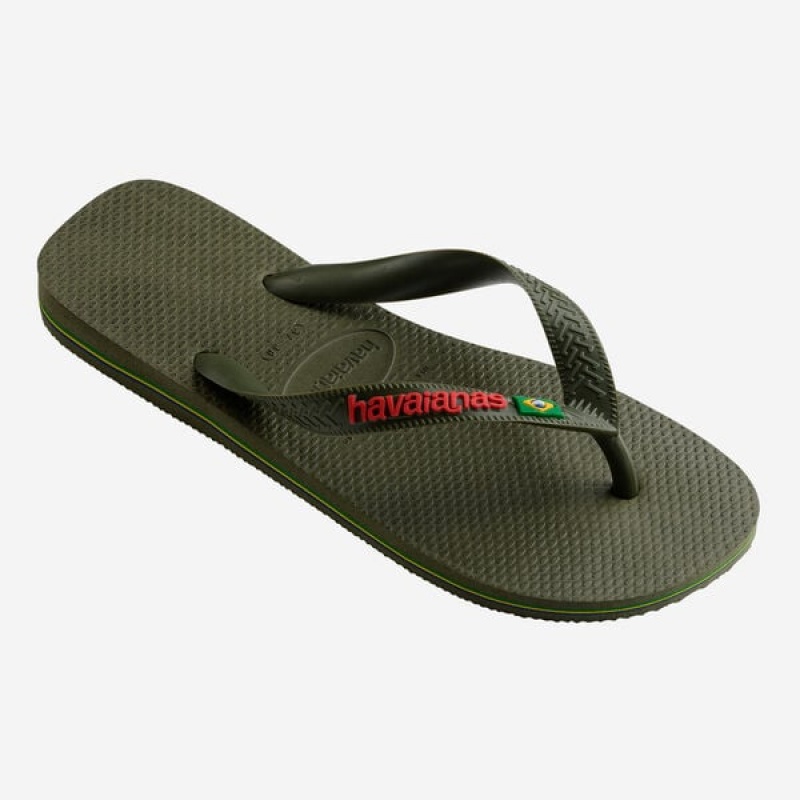 Havaianas Brasil Logo Men's Flip Flops | WBICNP-276