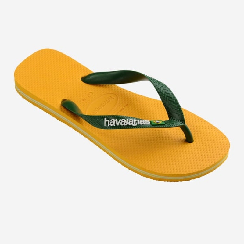 Havaianas Brasil Logo Men's Flip Flops | YWZTAH-812