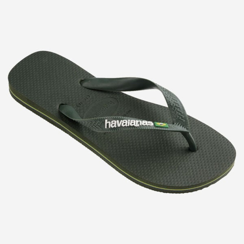 Havaianas Brasil Logo Women's Flip Flops | SOTBXA-820