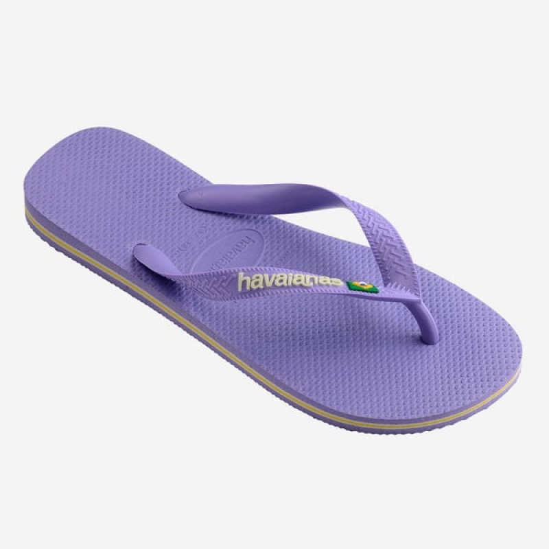 Havaianas Brasil Logo Women's Flip Flops | MCTQUX-630