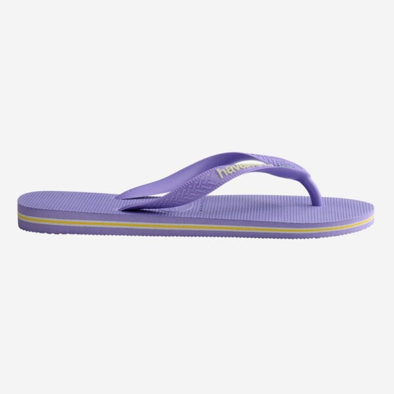 Havaianas Brasil Logo Women's Flip Flops | MCTQUX-630