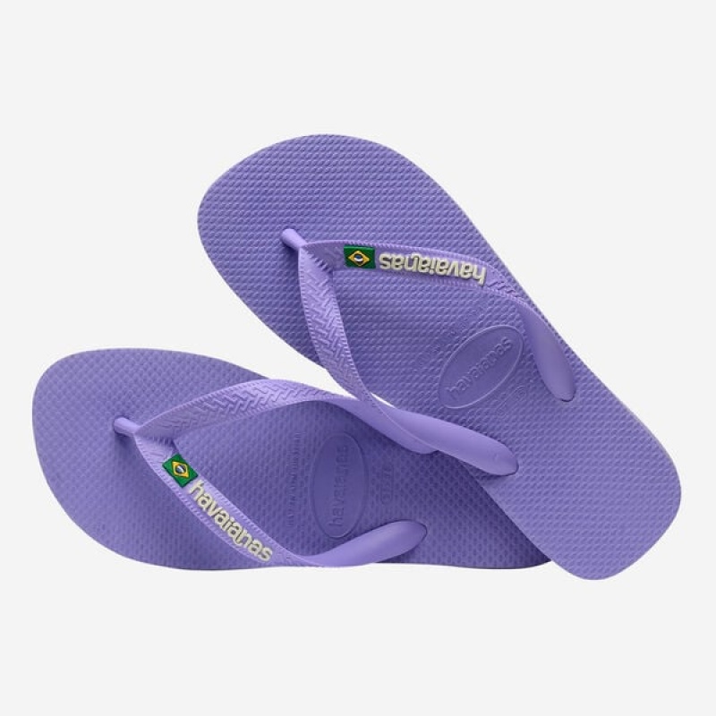 Havaianas Brasil Logo Women's Flip Flops | MCTQUX-630