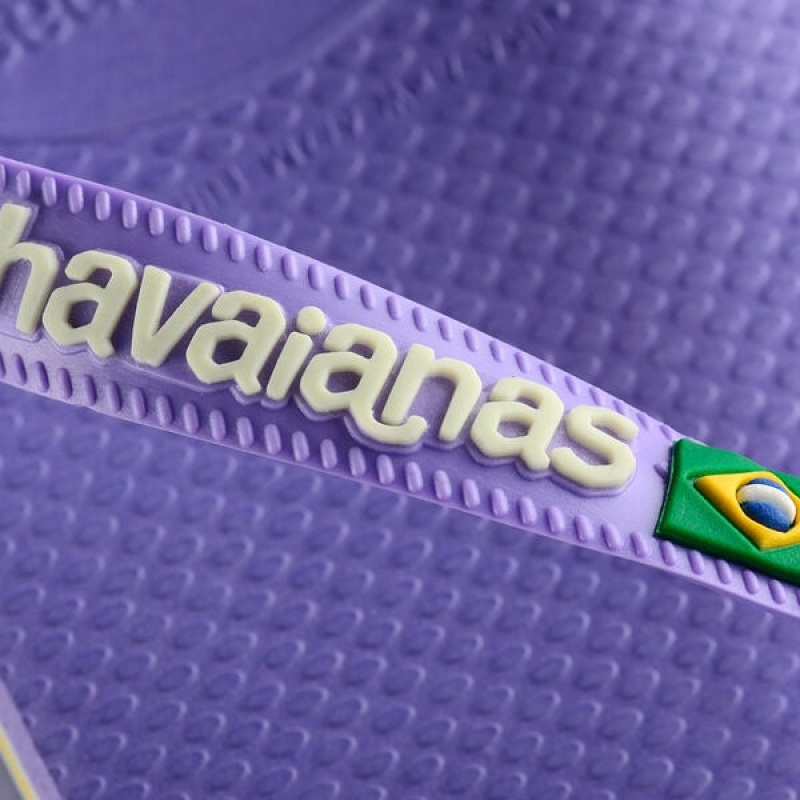 Havaianas Brasil Logo Women's Flip Flops | MCTQUX-630