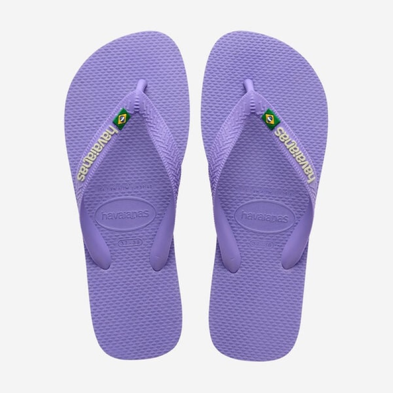 Havaianas Brasil Logo Women\'s Flip Flops | MCTQUX-630