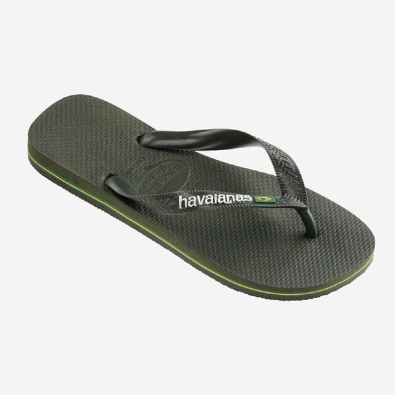 Havaianas Brasil Logo Women's Flip Flops | WXJIDN-084