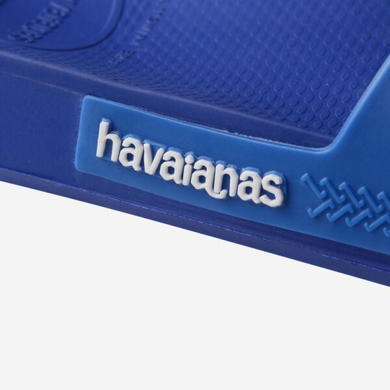 Havaianas Classic Men's Flip Flops | YUNRBL-701