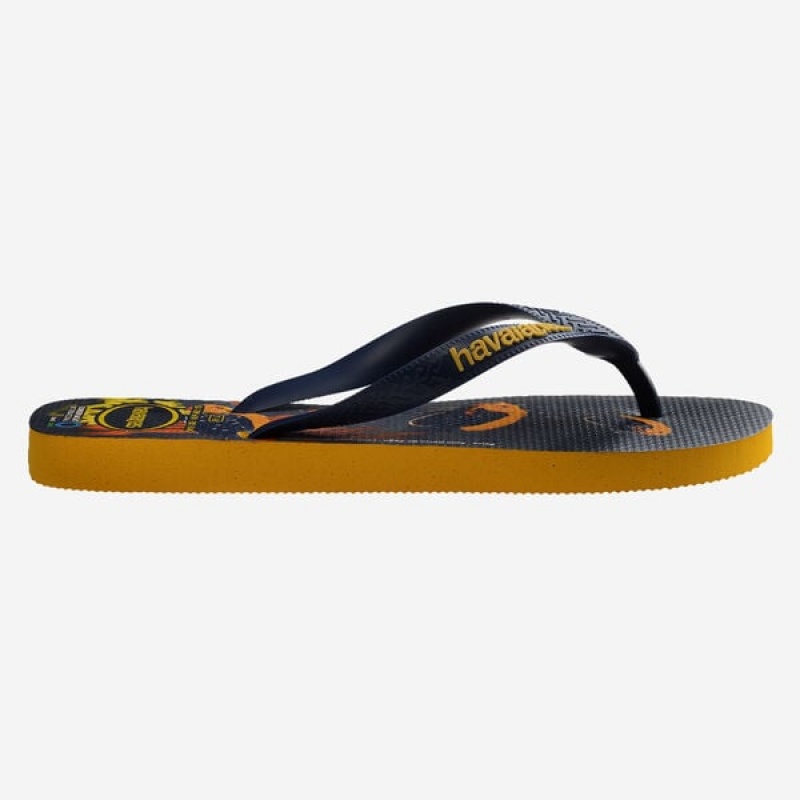 Havaianas Conservation International Men's Flip Flops | PFBNSD-218