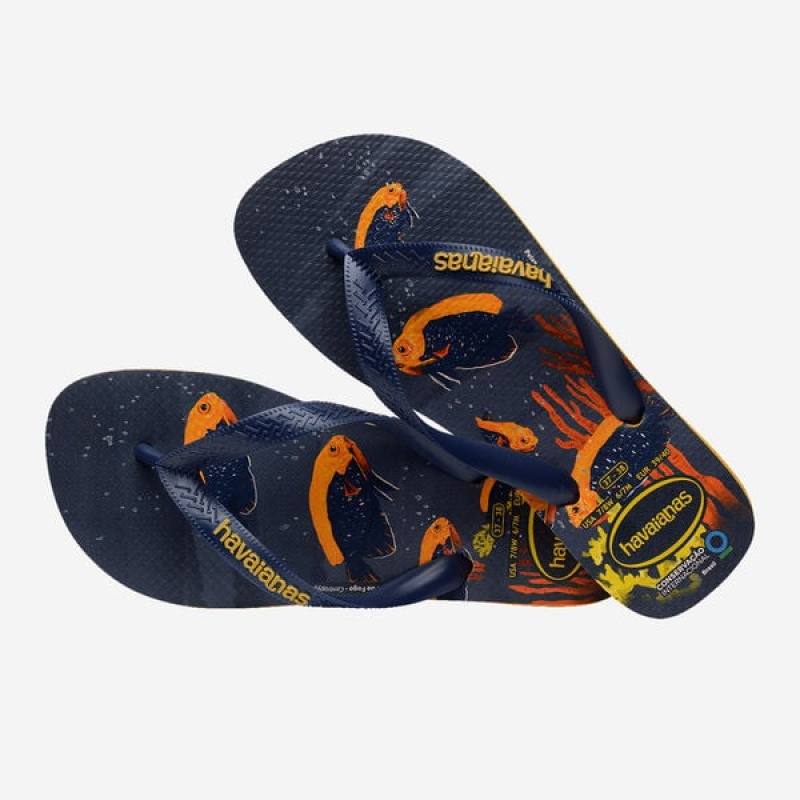 Havaianas Conservation International Men's Flip Flops | PFBNSD-218