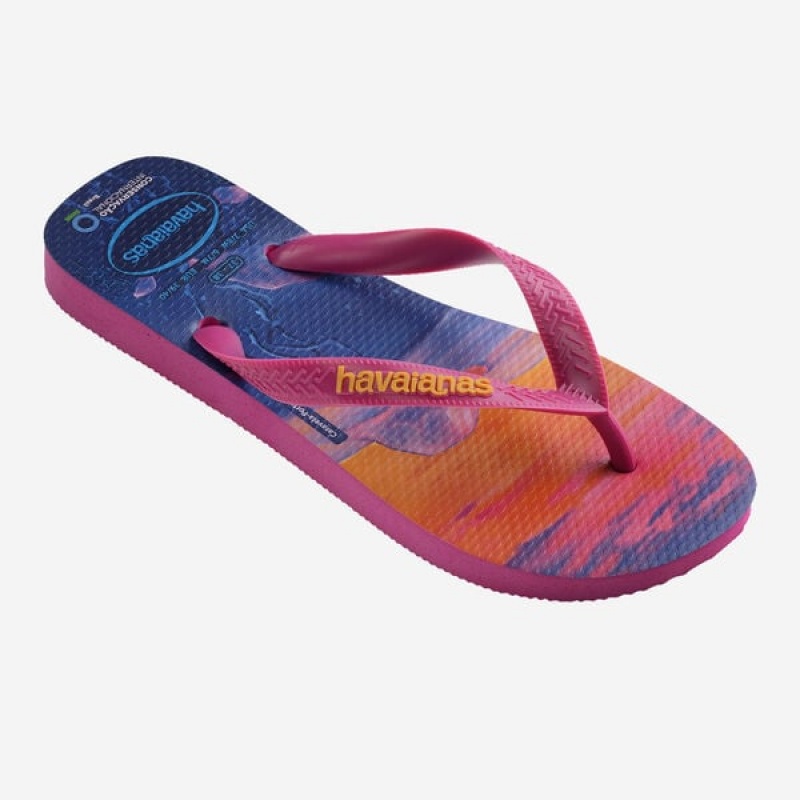 Havaianas Conservation International Men's Flip Flops | OFZLNY-642