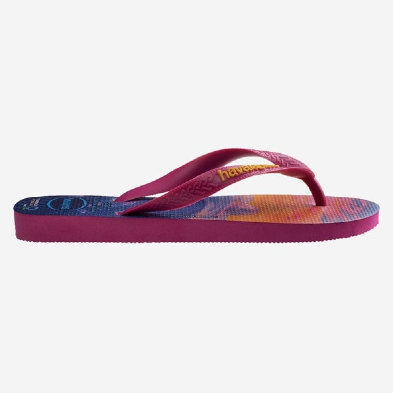 Havaianas Conservation International Men's Flip Flops | OFZLNY-642