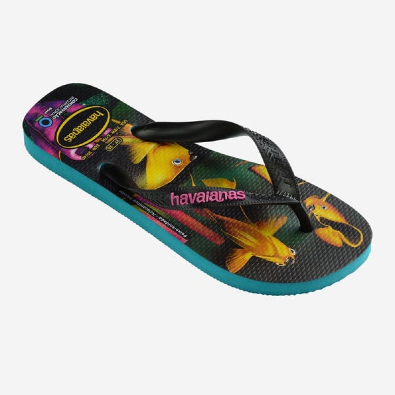 Havaianas Conservation International Men's Flip Flops | WEGHSU-943