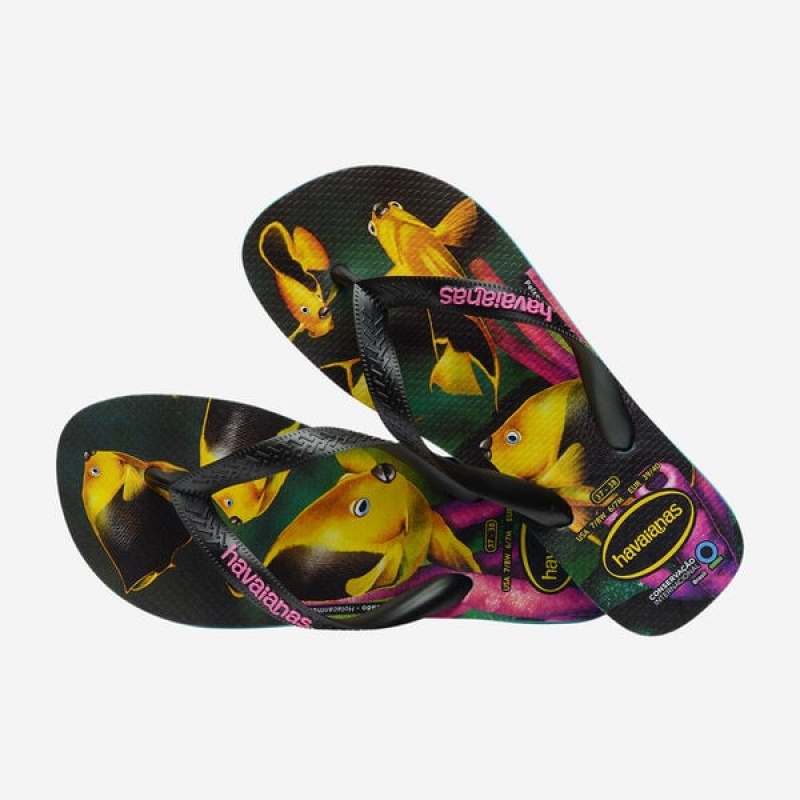 Havaianas Conservation International Men's Flip Flops | WEGHSU-943