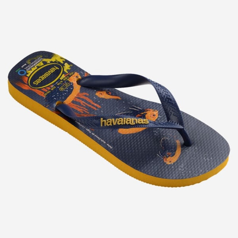 Havaianas Conservation International Women's Flip Flops | KXZACI-175