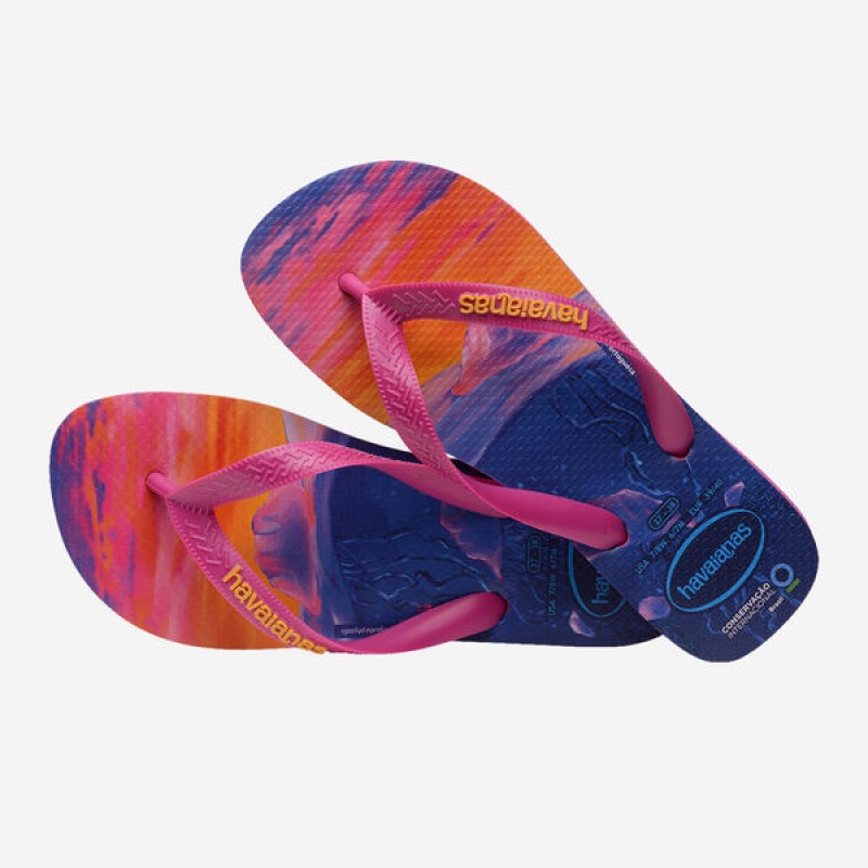 Havaianas Conservation International Women's Flip Flops | ZBJFNP-970