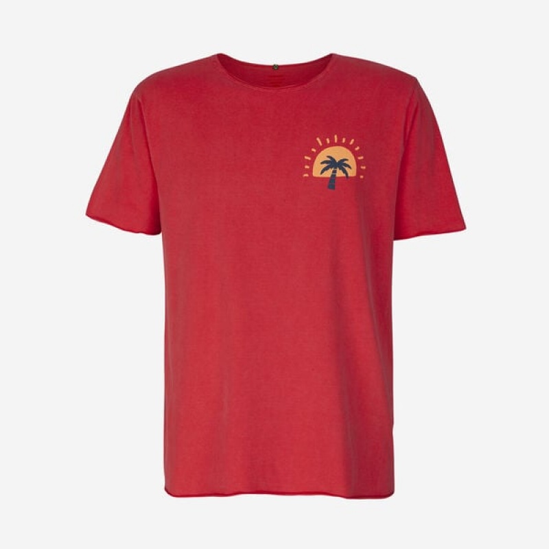 Havaianas Coqueiro Sunshine Men's T Shirts | CYPMQO-218