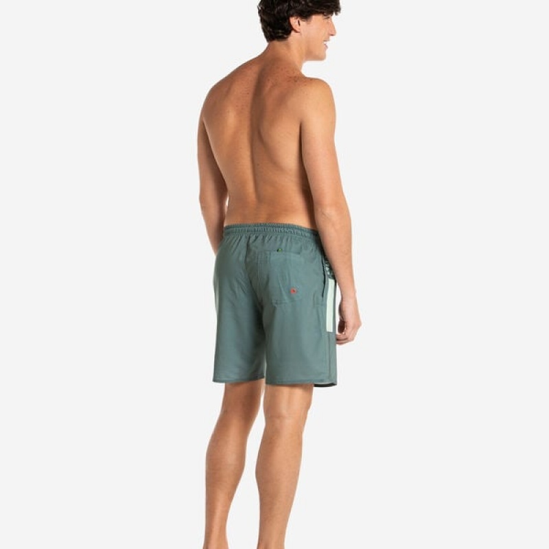 Havaianas Eur Mid New Logomania Men's Boardshorts | ZGHBVY-510