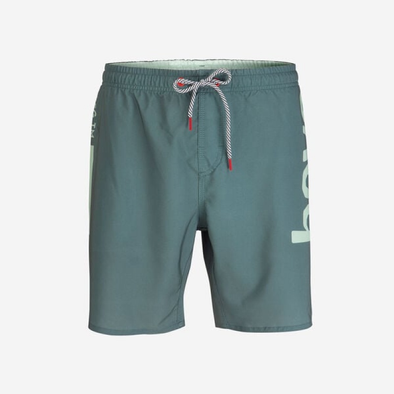 Havaianas Eur Mid New Logomania Men's Boardshorts | ZGHBVY-510