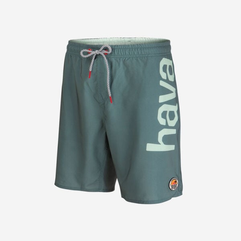 Havaianas Eur Mid New Logomania Men's Boardshorts | ZGHBVY-510