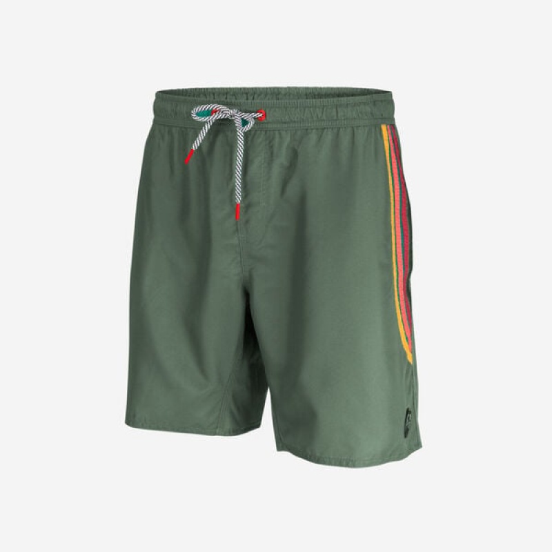 Havaianas Eur Short Hava Classics Men's Boardshorts | UOXWJI-472